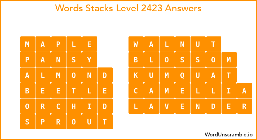 Word Stacks Level 2423 Answers