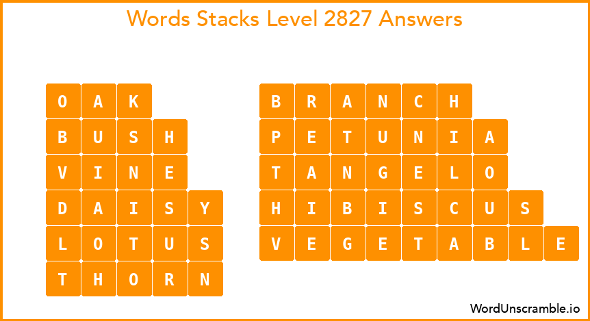 Word Stacks Level 2827 Answers