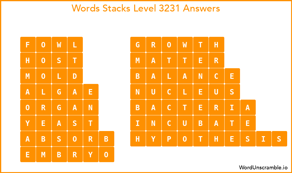 Word Stacks Level 3231 Answers