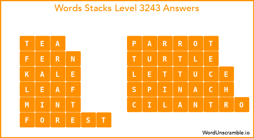 Word Stacks Level 3243 Answers