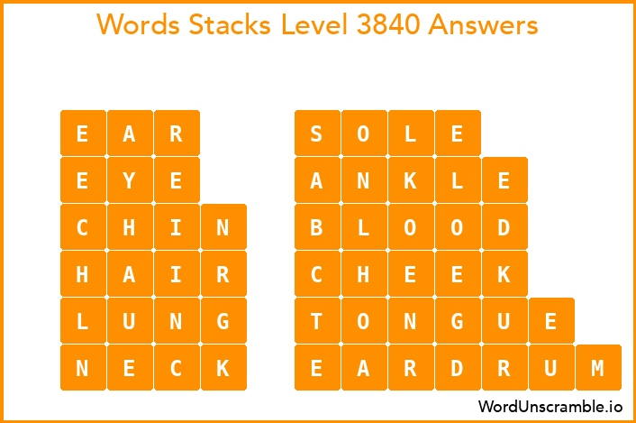 Word Stacks Level 3840 Answers