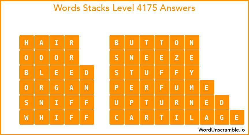 Word Stacks Level 4175 Answers