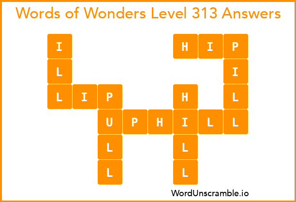 Words of Wonders Level 313 Answers