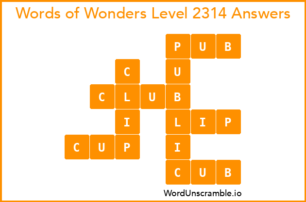 Words of Wonders Level 2314 Answers