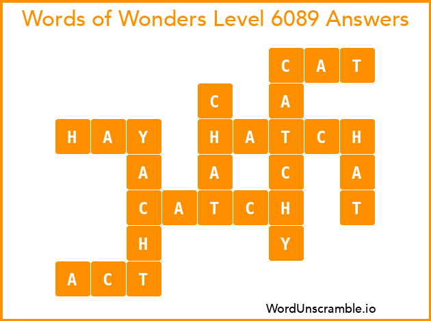 Words of Wonders Level 6089 Answers