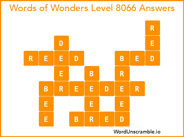 Words of Wonders Level 8066 Answers