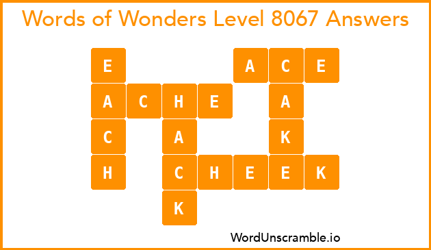 Words of Wonders Level 8067 Answers