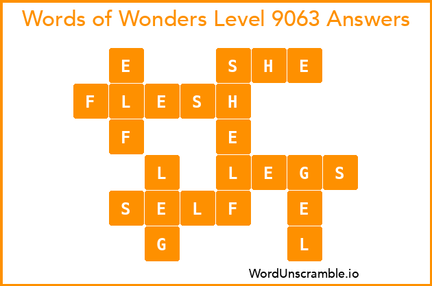 Words of Wonders Level 9063 Answers